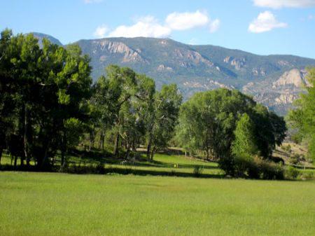 Cottonwood Meadows : Buena Vista : Chaffee County : Colorado