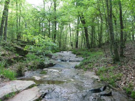 Sandy Cross : Lexington : Oglethorpe County : Georgia