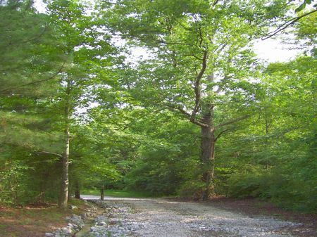 Wheeler Mt. 40 Acres : Tuscumbia : Colbert County : Alabama