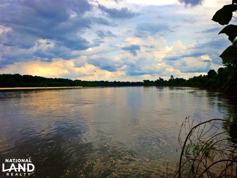 Alabama River Timber & Hunting Inve : Carlton : Clarke County : Alabama