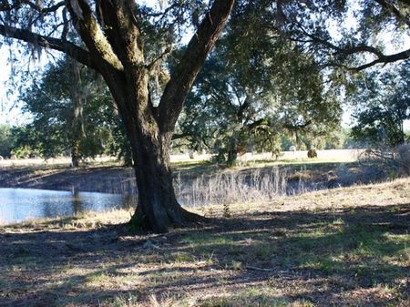 The Farms At Rocky Creek : Marianna : Jackson County : Florida