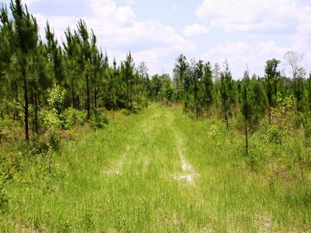 Harrison Farm : Woodville : Leon County : Florida