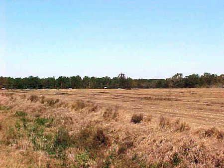 Development Tract near Slocomb : Slocomb : Geneva County : Alabama
