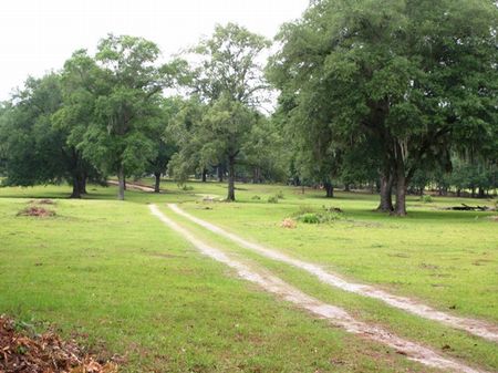 Cross Creek Ranch : Quitman : Brooks County : Georgia