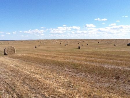 Circle Cross Ranch : Valentine : Cherry County : Nebraska