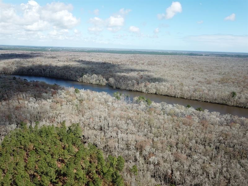 Middleton Plantation : Andrews : Georgetown County : South Carolina