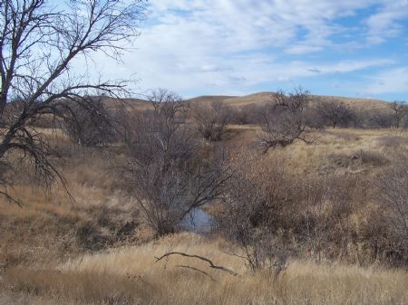 Willow Creek Ranch : Philip : Haakon County : South Dakota