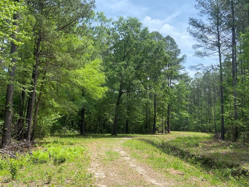 Iola Burroughs : Conway : Horry County : South Carolina