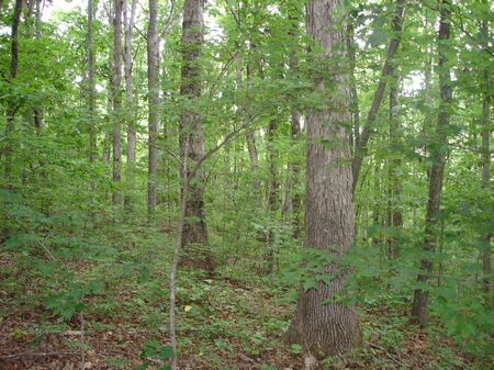 Development / Recreational Opp : Ten Mile : McMinn County : Tennessee