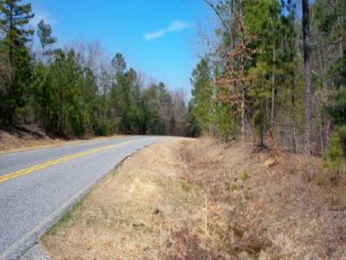 371 Acres Forest & Hunting : Lizella : Crawford County : Georgia