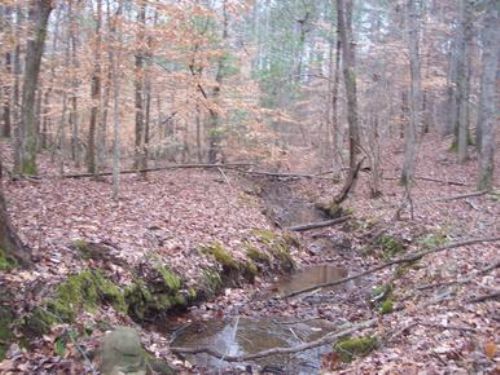 800+/- Acres South Of Roanoke, AL : La Fayette : Chambers County : Alabama
