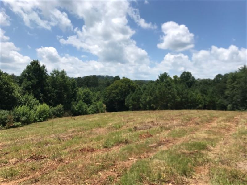 Several Tracts, River Frontage : Oneonta : Blount County : Alabama