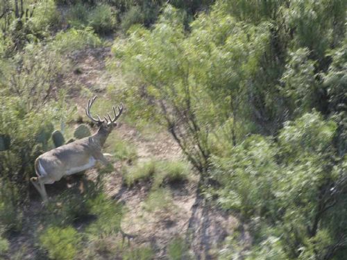 High Lonesome Ranch : Rankin : Upton County : Texas