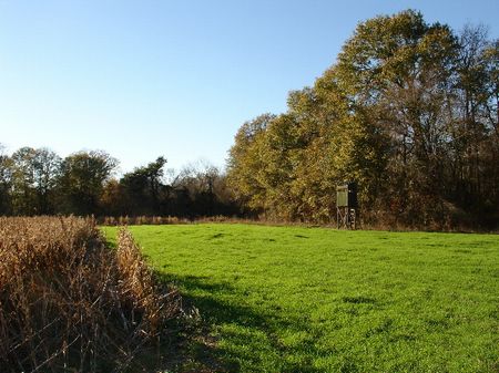 106 Acres Of Hunting Land : Montgomery : Montgomery County : Alabama