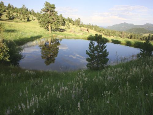 Sugarloaf Ranch : Boulder : Boulder County : Colorado