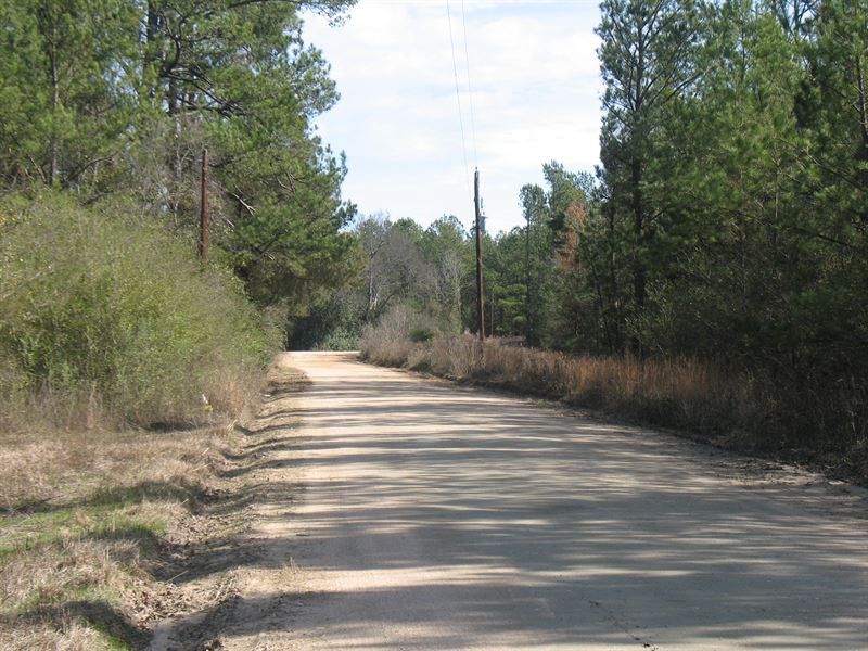 Mc Nair Tract Parcel -A : Macon : Bibb County : Georgia