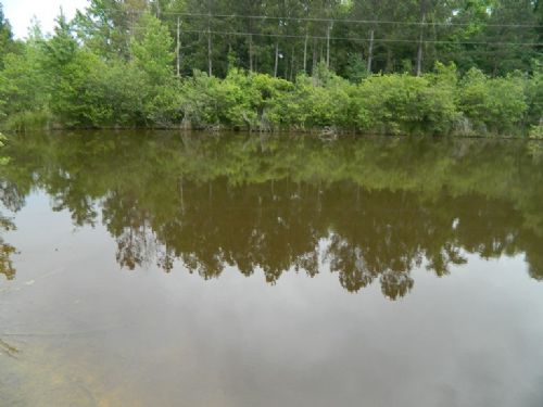 14 Acres with Pond and Pasture : Lexington : Oglethorpe County : Georgia