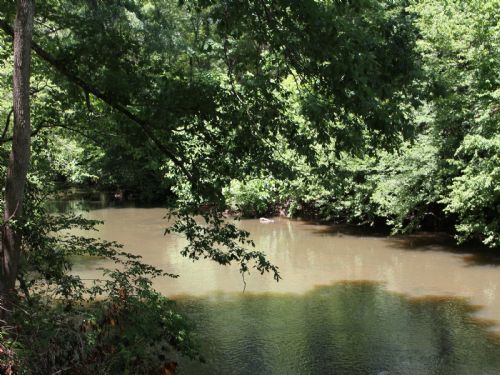 Hatchett Creek Frontage - 190 Acres : Sylacauga : Coosa County : Alabama