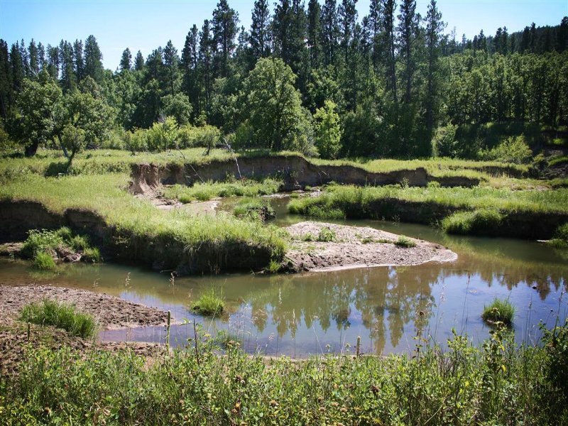 Beaver Creek Acreage : Alva : Crook County : Wyoming