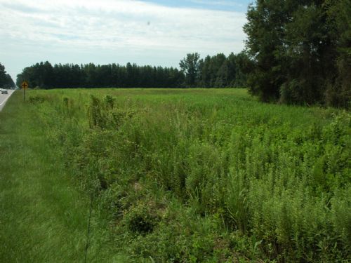 Beautiful Homesite Near Lumberton : Lumberton : Robeson County : North Carolina