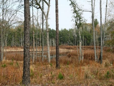 Indian Lake Plantation : Sneads : Jackson County : Florida