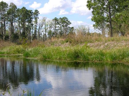 Walk in The Water Ranch Resort : Lake Wales : Polk County : Florida