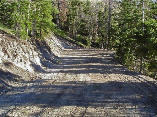 Heavily Wooded 10 Acres in Argyle : Argyle Canyon : Duchesne County : Utah