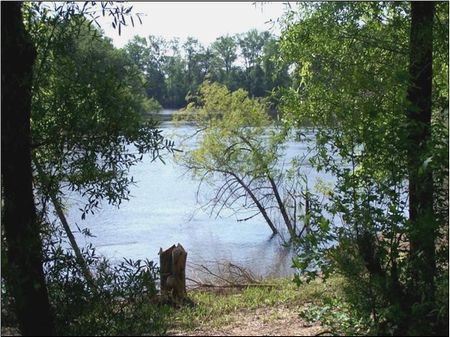 3512 Acres On Savannah River : Newington : Screven County : Georgia