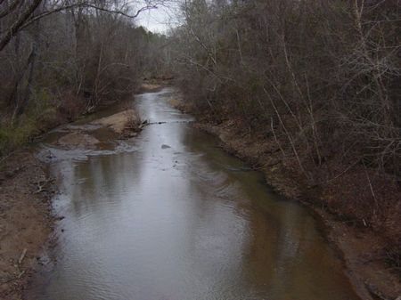 Creek Frontage and Rolling Hills : Thomaston : Talbot County : Georgia