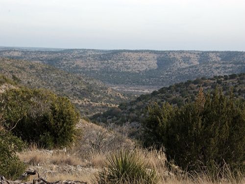 Rugged Hunting Land, Exotics : Del Rio : Val Verde County : Texas