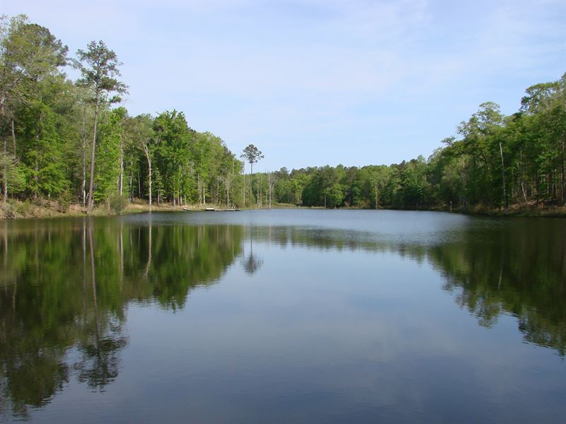 778 Acre Hunting Plantation W/ Lake : Ellaville : Schley County : Georgia