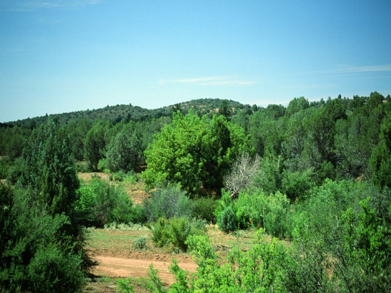 Woodland Valley Ranch Arizona 768 : Snowflake : Apache County : Arizona