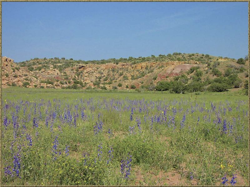 36 Acre AZ Ranches From $216 MO : Saint Johns : Apache County : Arizona