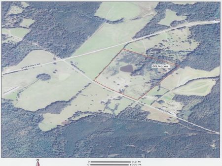 Brick Ranch On 60 Acres : Union Point : Greene County : Georgia