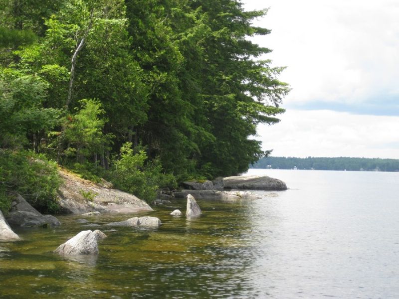 Cold Stream Pond Acreage : Enfield : Penobscot County : Maine