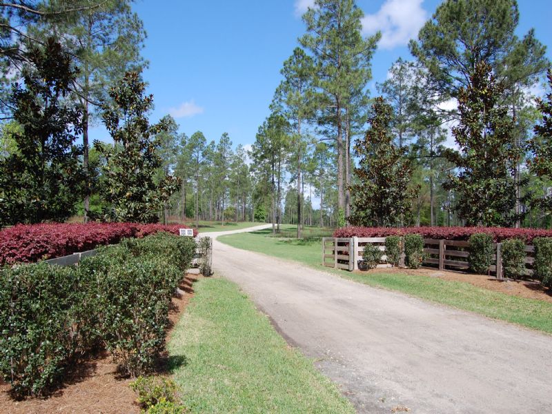 Terra Chula Plantation : Quitman : Brooks County : Georgia