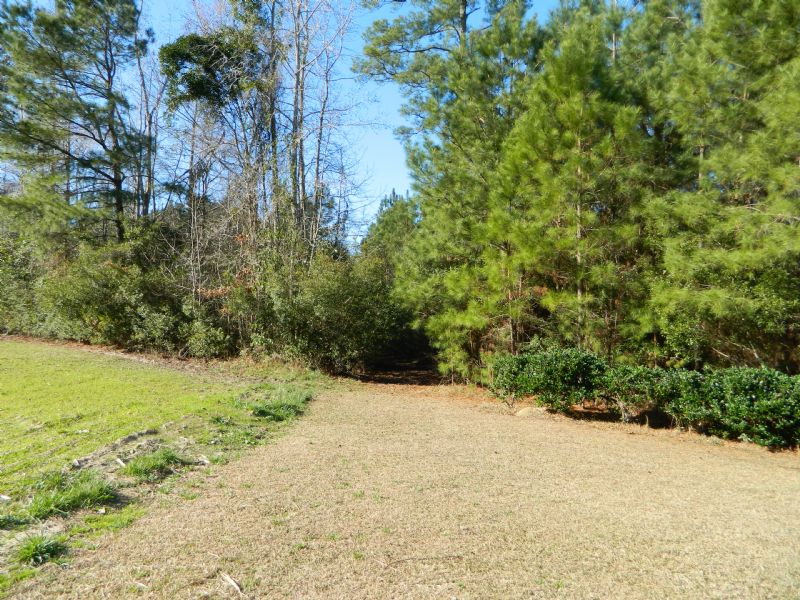 Bug Hill Tract : Nakina : Columbus County : North Carolina