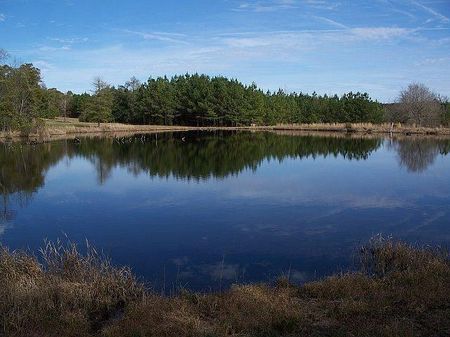 491 Acres - Beautiful Creek : Dawson : Randolph County : Georgia