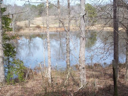 500 +- Ac, Pastures, Timber, Pond : Americus : Sumter County : Georgia