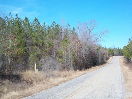 21 +- Ac, Paved Rd, Timber, Hunt : Butler : Taylor County : Georgia