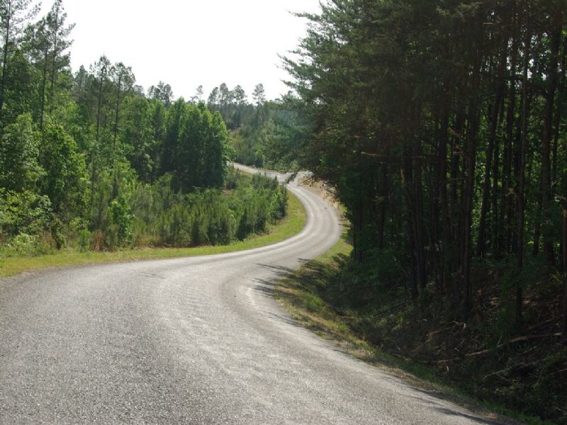 Near Birmingham - Tract 28 Of 28 : Odenville : Jefferson County : Alabama