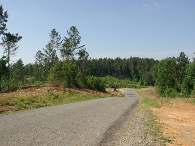 Near Birmingham - Tract 11 Of 28 : Odenville : Jefferson County : Alabama