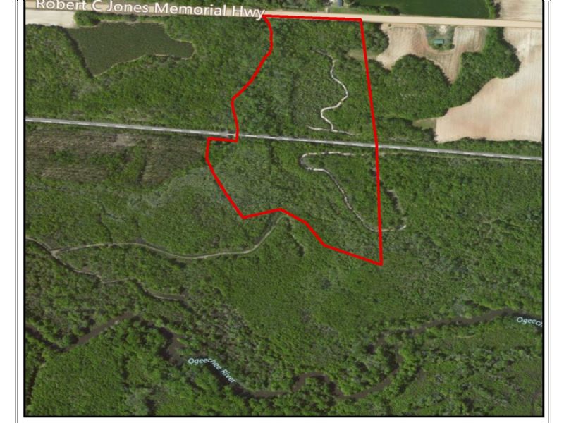 Chew Mill Creek : Millen : Jenkins County : Georgia