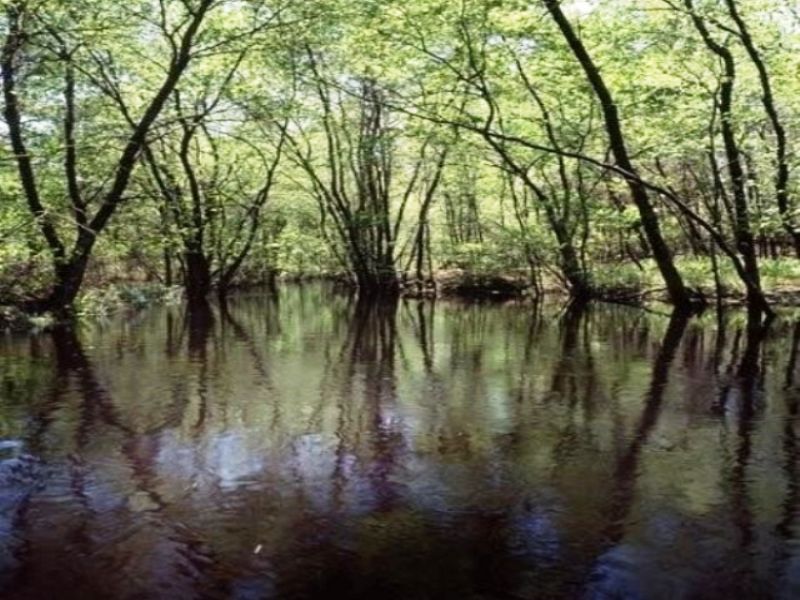 Blue Lake Hunting Lodge : Millen : Jenkins County : Georgia