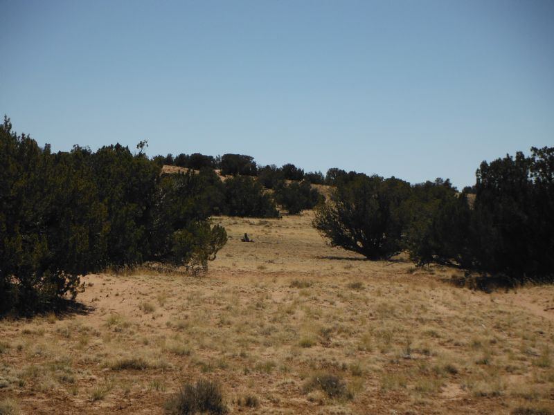 40 Acre Ranch Land Northern Arizona, Ranch for Sale by Owner in Arizona