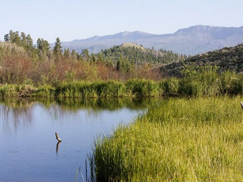Off Grid Colorado Ranch W/ Hunting, Ranch for Sale in Colorado, 64119
