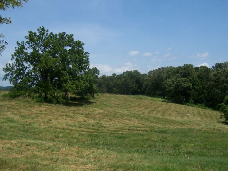 Rural Farmland : Homer : Banks County : Georgia