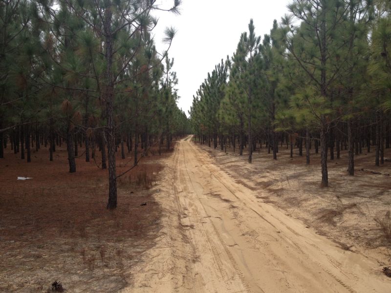 Shoal River Ranch : Crestview : Okaloosa County : Florida