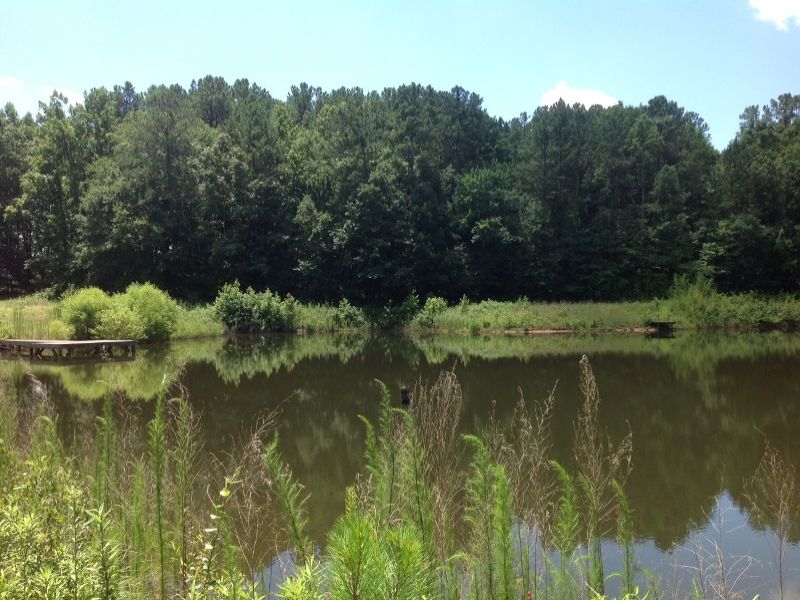 Saddleback Farms Equestrian Homesit, Ranch for Sale in 64895