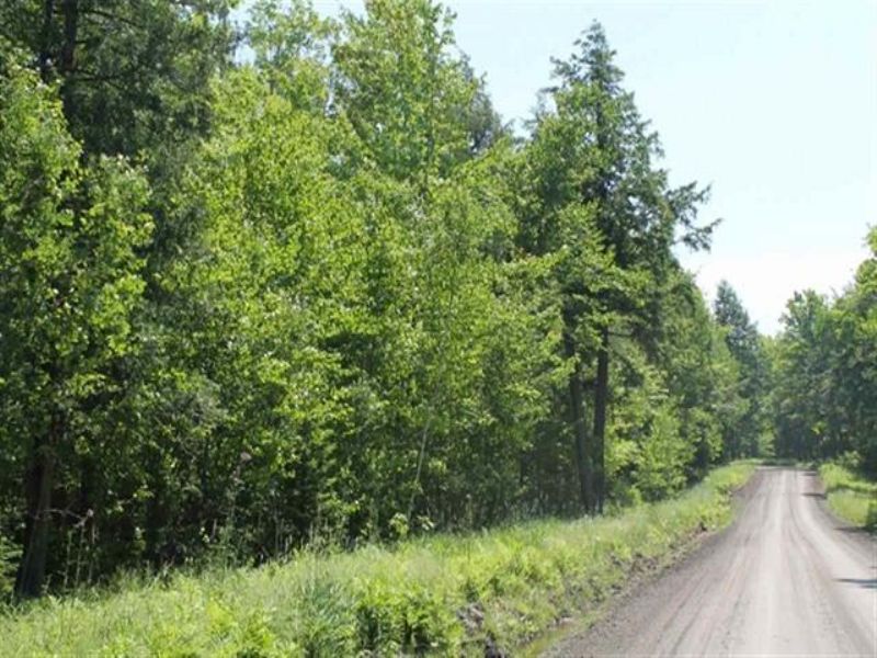 Tbd Peterson Rd Mls 1074702 : Arvon : Baraga County : Michigan